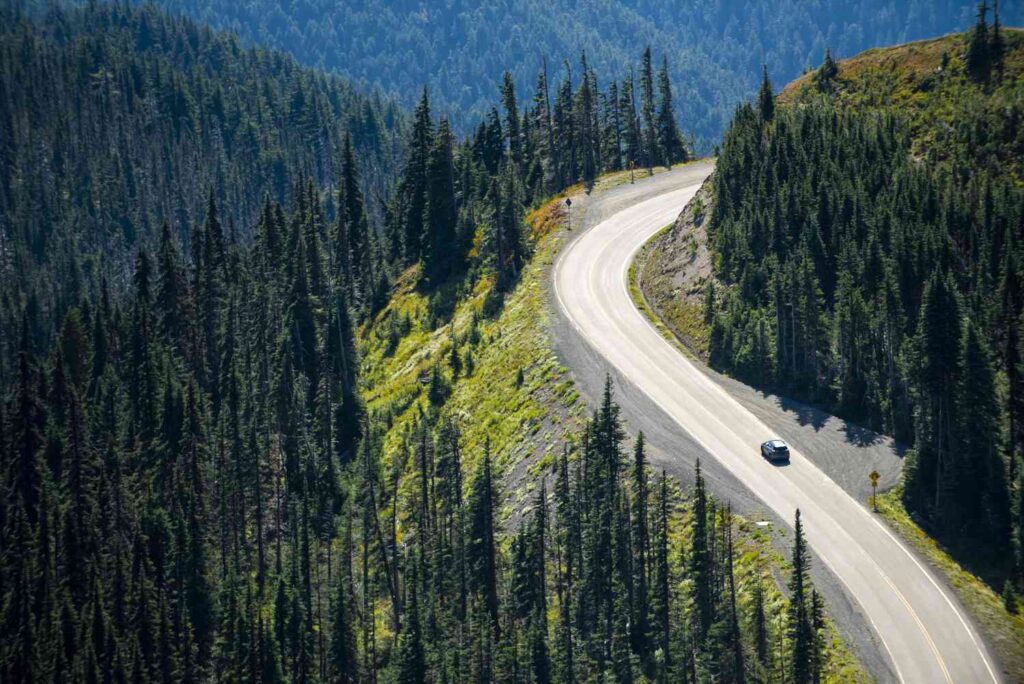8 Best Road Trip Apps To Download For Your Adventure